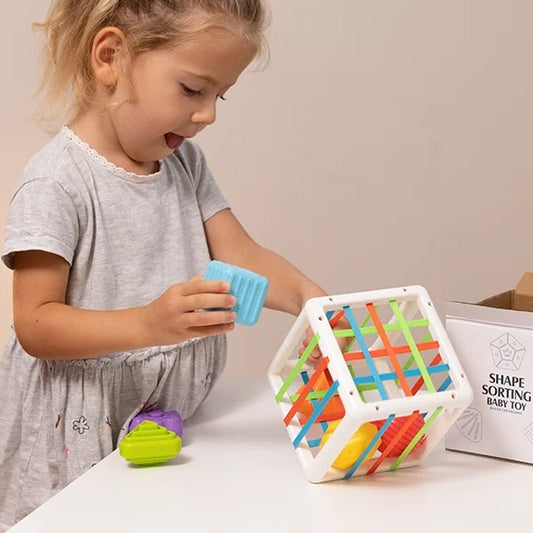 Montessori Sortirna kocka